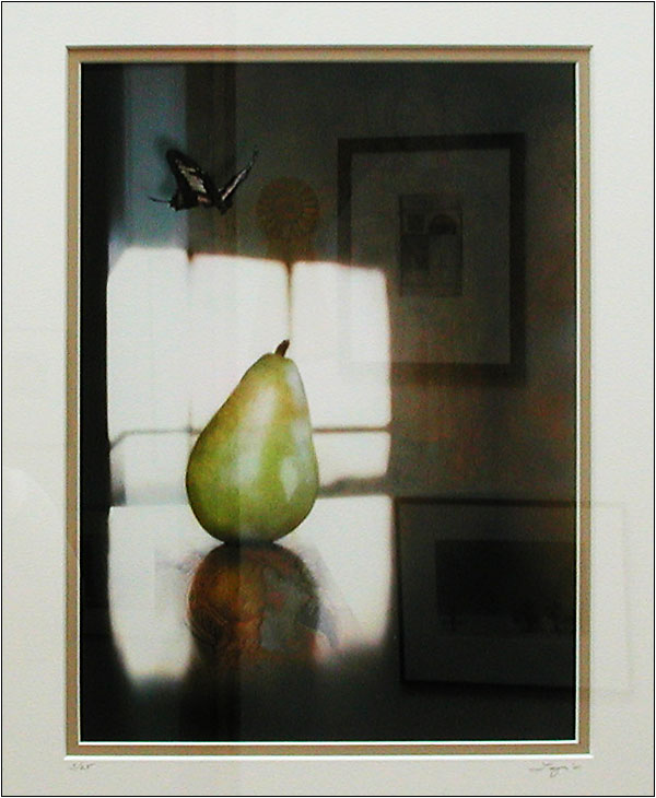 "Pear" by Tammy Picone Nohelty. Best of Show Award and Samuel Chamberlain Award. Digital photo.