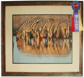 Zebras at Namutoni, by Hildegaard Arnold Kiel.