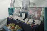 050704_JK_285
