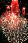 09_050704_HG_241