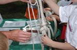 060704_CL_fes_0046